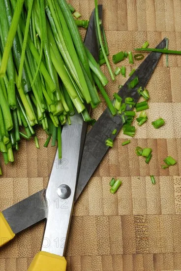 kitchen scissors