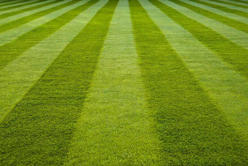 lawn mowing patterns
