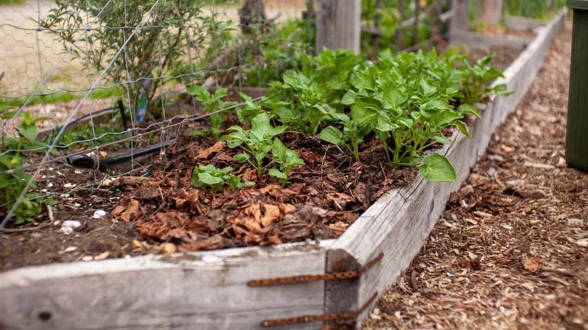 leaf litter management