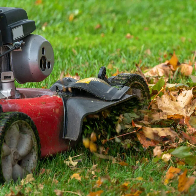 leaf mulching with lawn mower