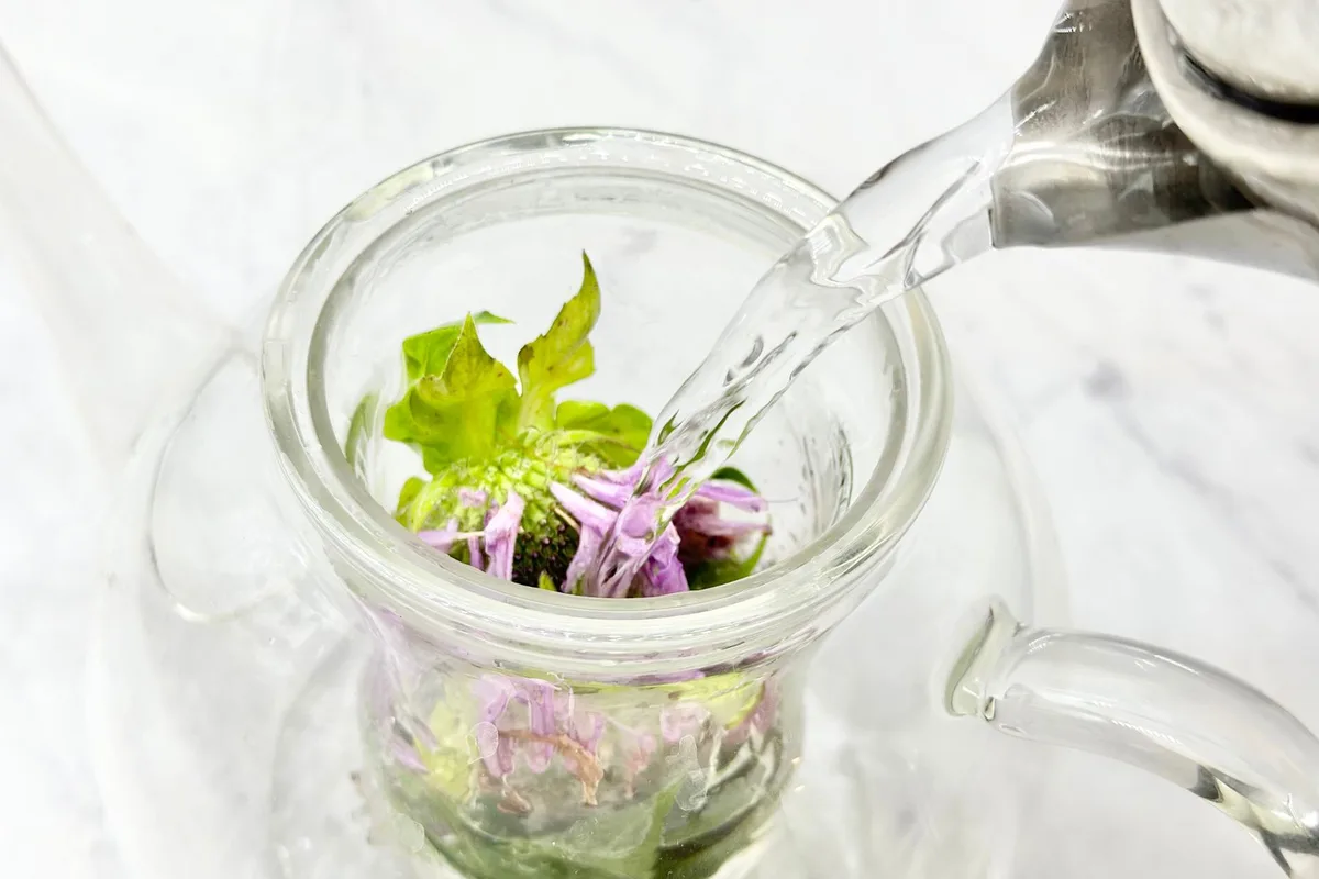 make bee balm tea