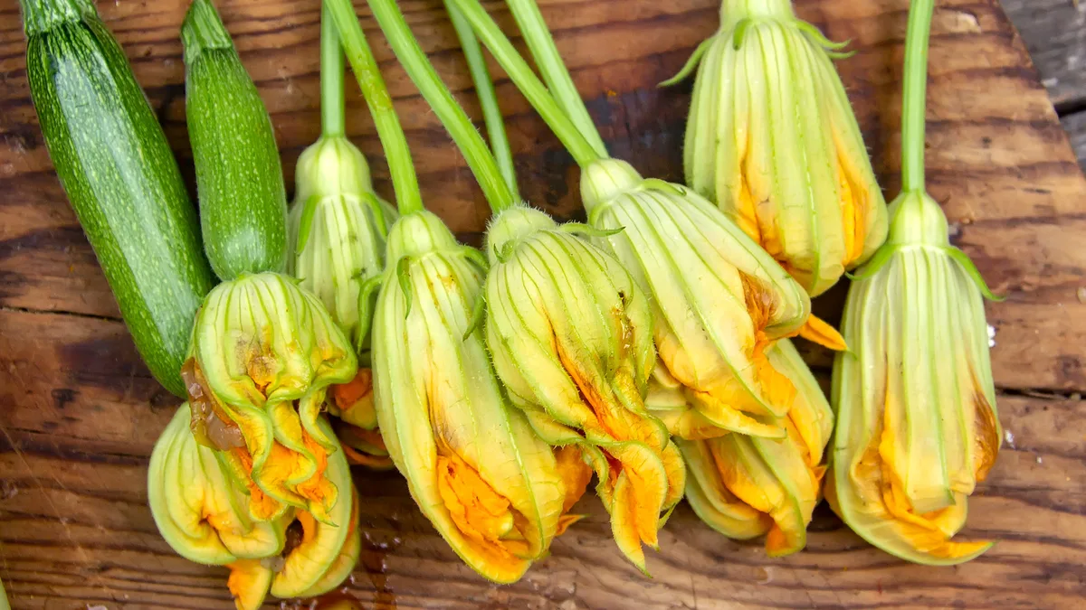 male squash blossoms