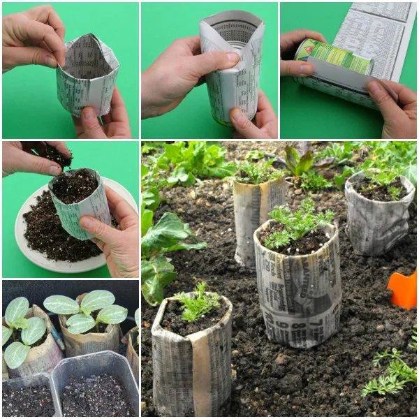 newspaper seed starting pots