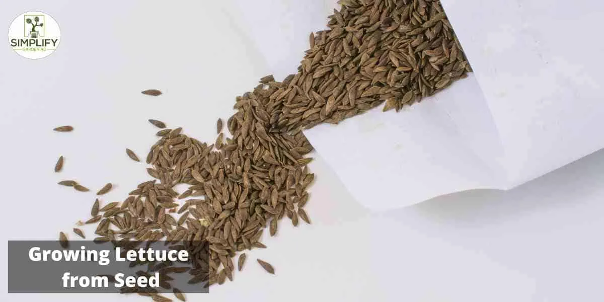 paper bag method