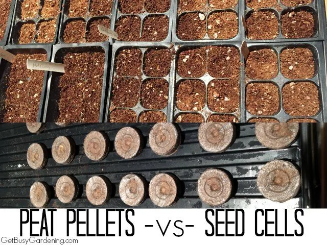 peat pellets vs seed cells
