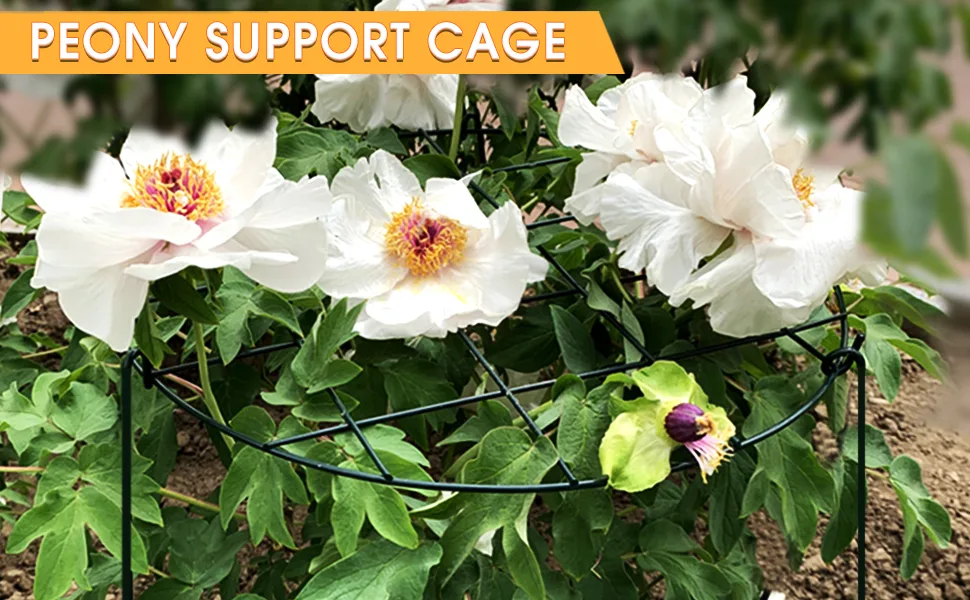 peony support stakes