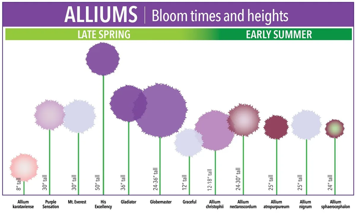 perennial comparison chart