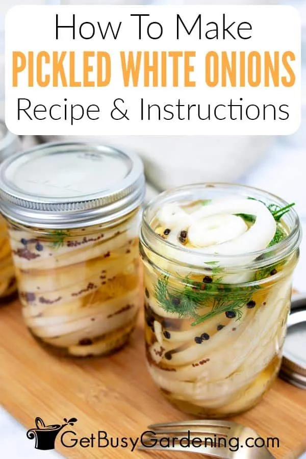 pickled white onions recipe