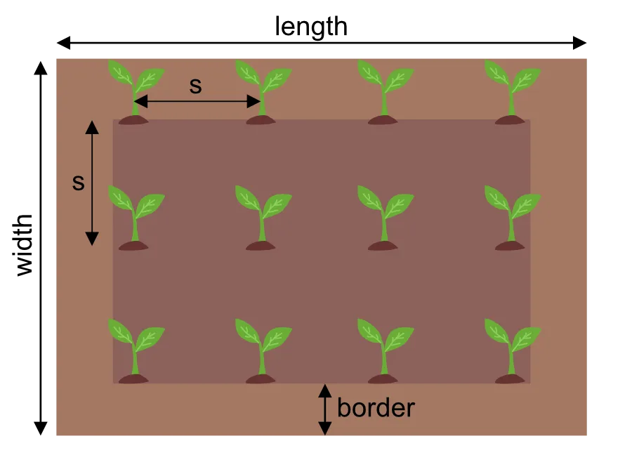 plant spacing