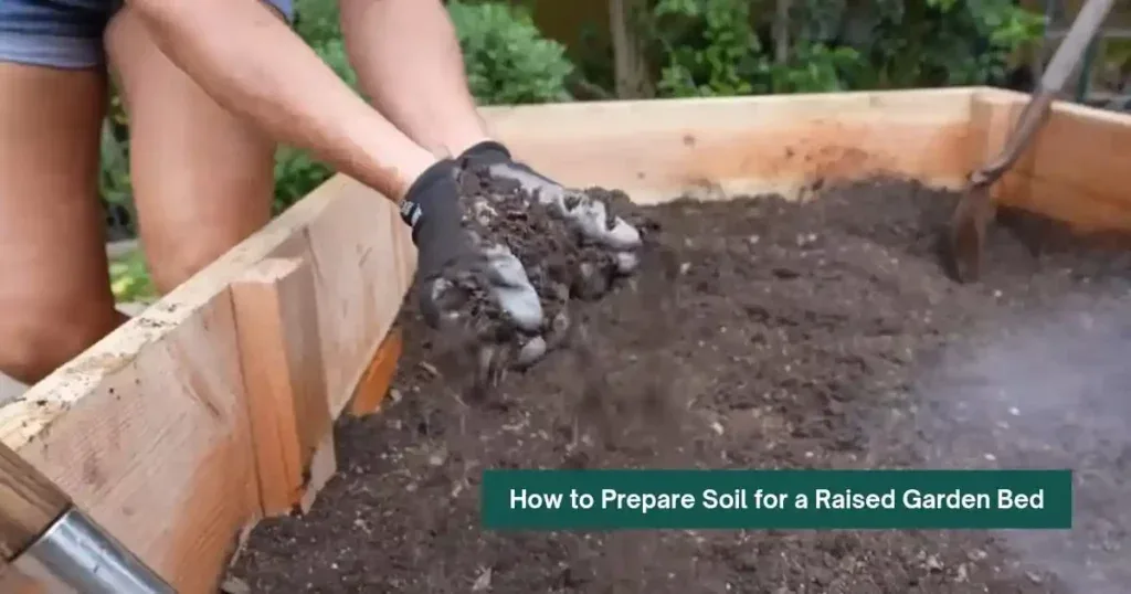 prepare vegetable garden for planting