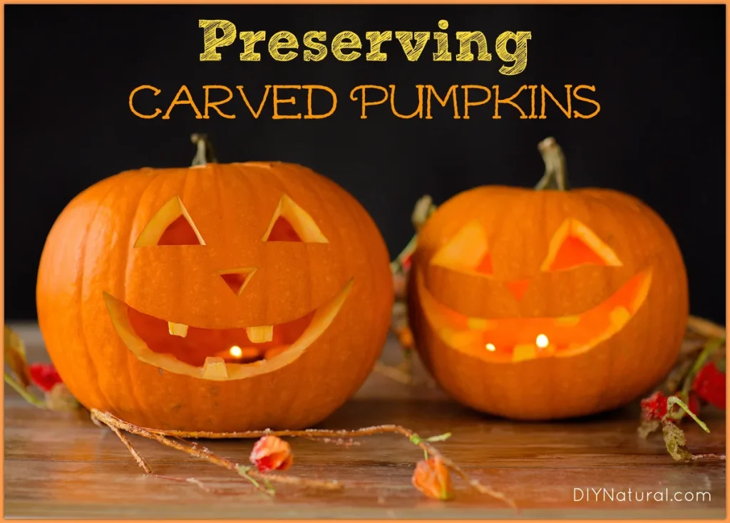 preserving carved pumpkins