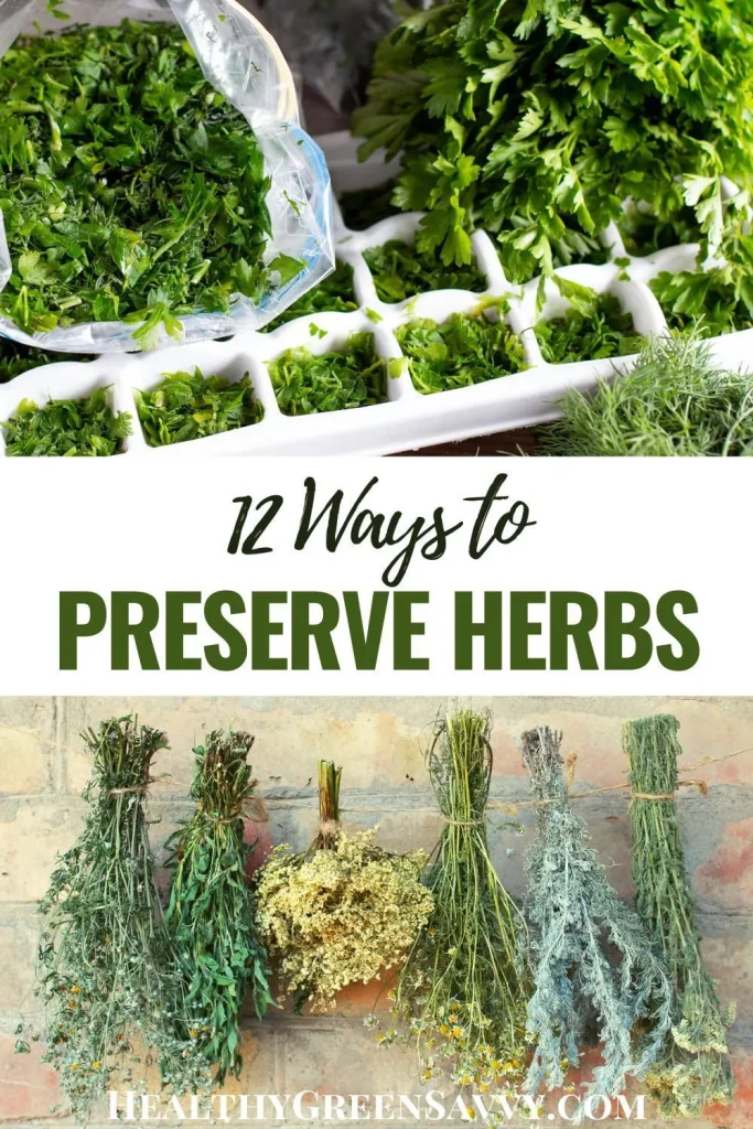 preserving herbs