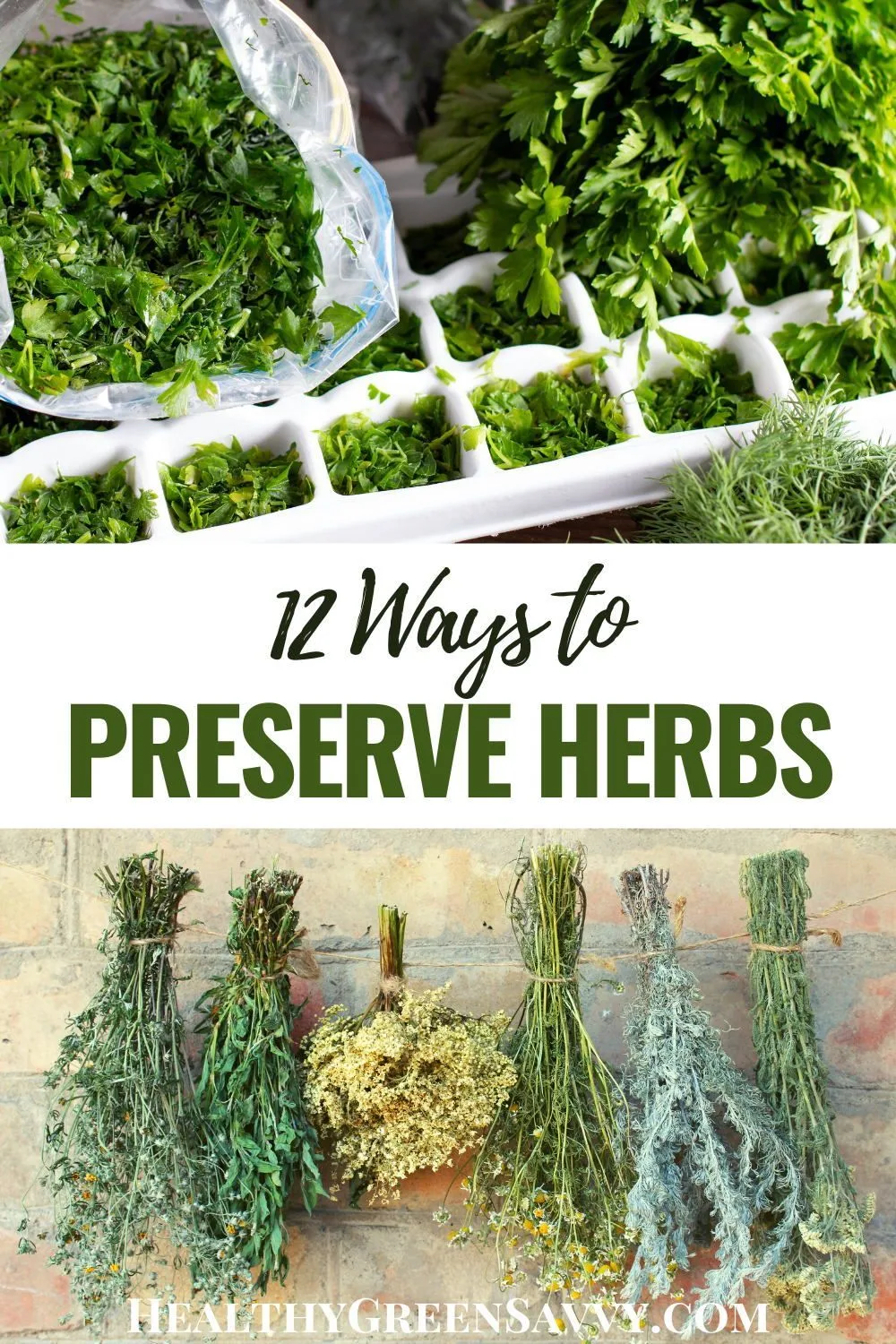 preserving herbs