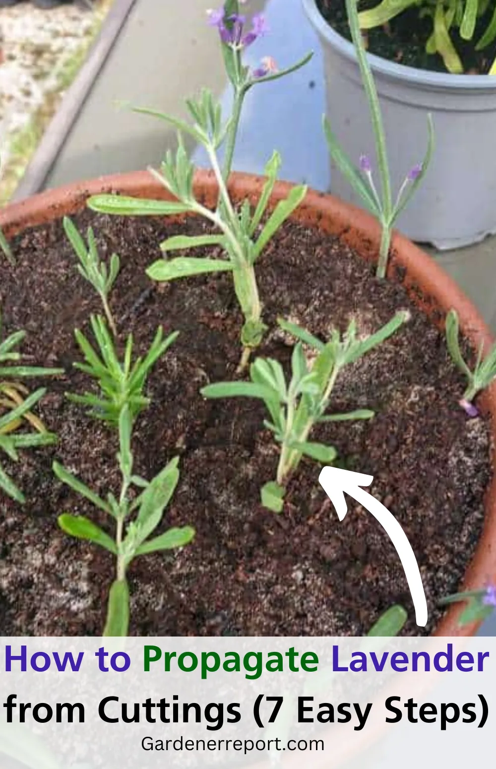 propagation methods