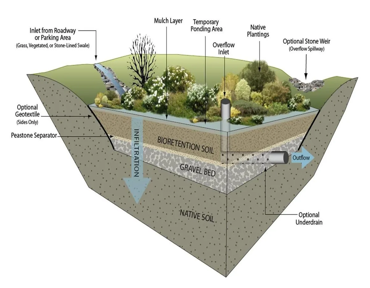 rain garden design
