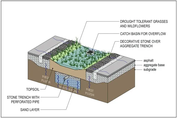 rain garden moisture zones