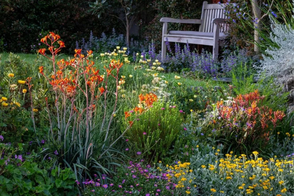 rain garden plants