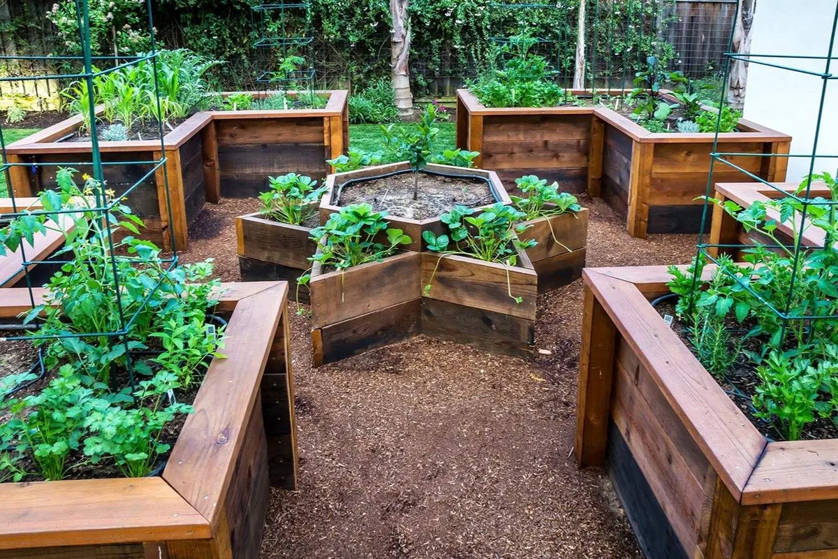 Raised Bed, Container, or In-Ground: Pick Your Growing System
