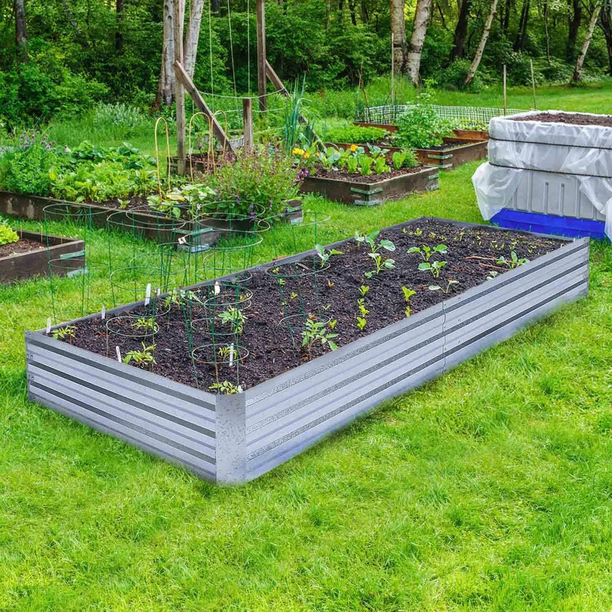 raised bed