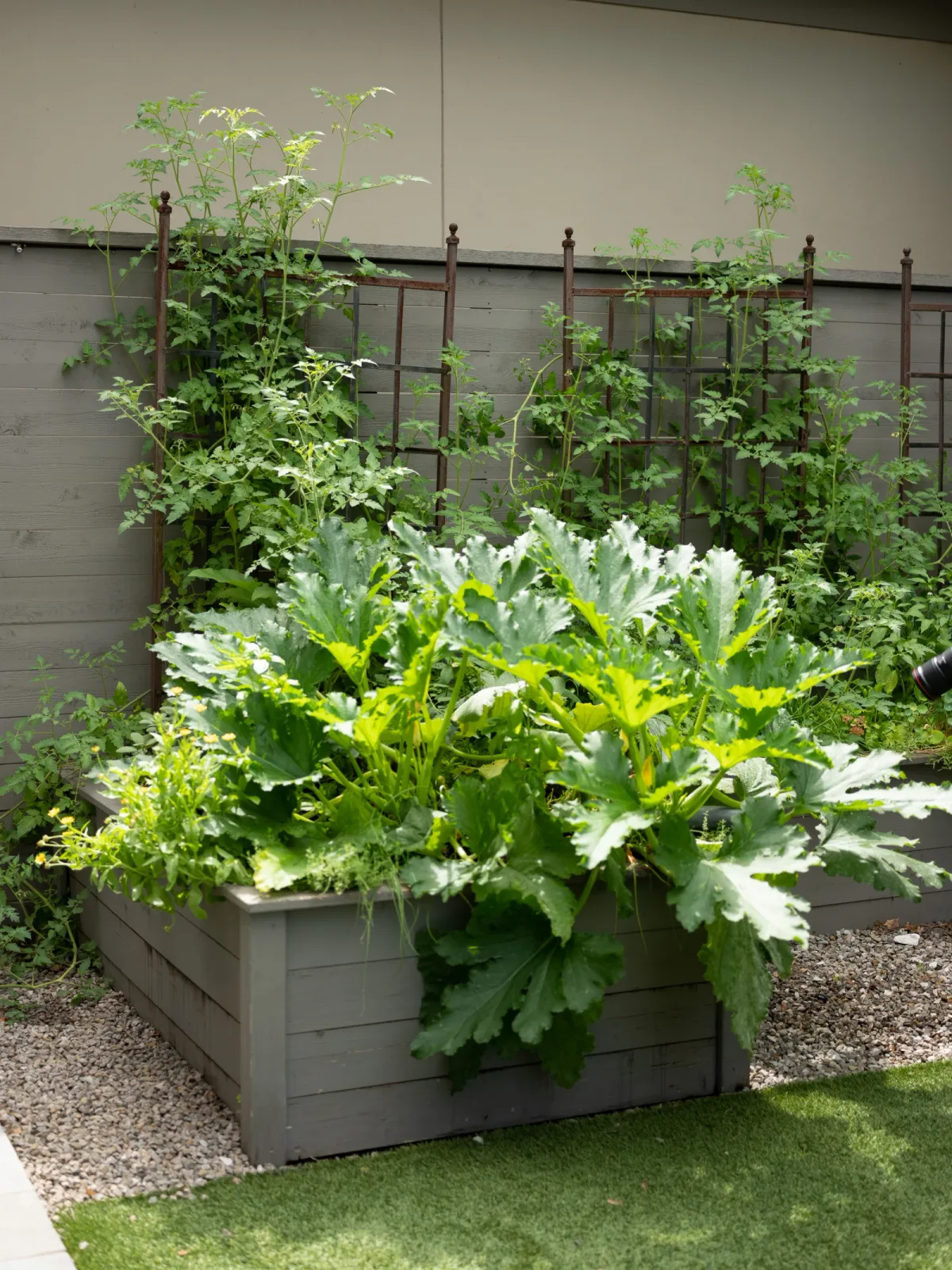 raised bed vs container vs in-ground