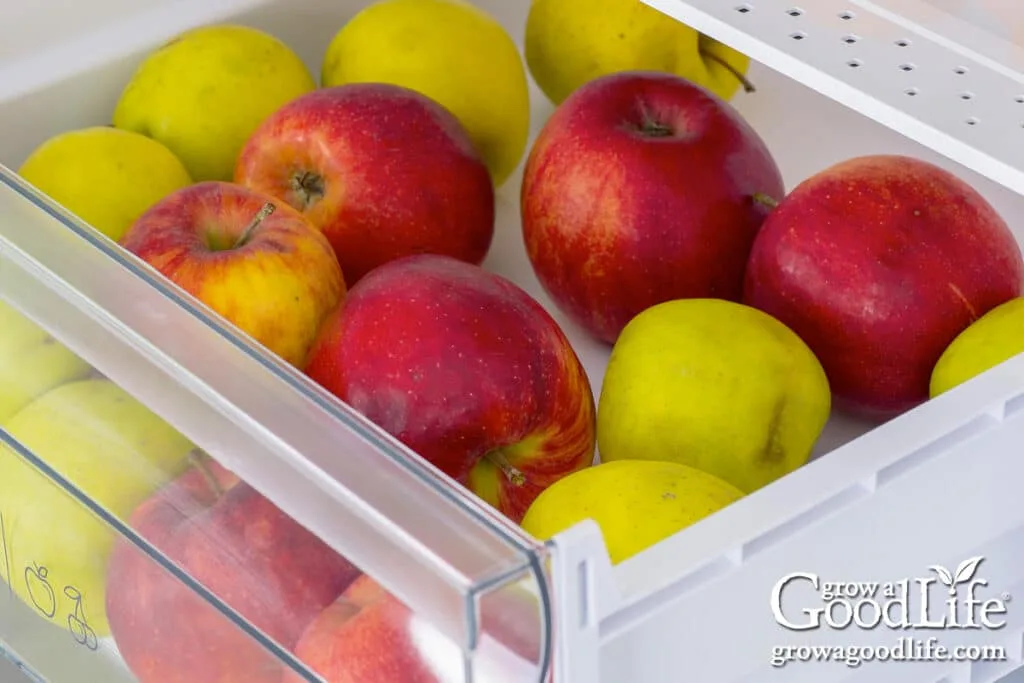 refrigerator storage
