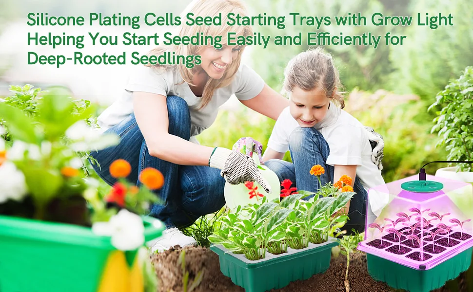 seed-starting kit