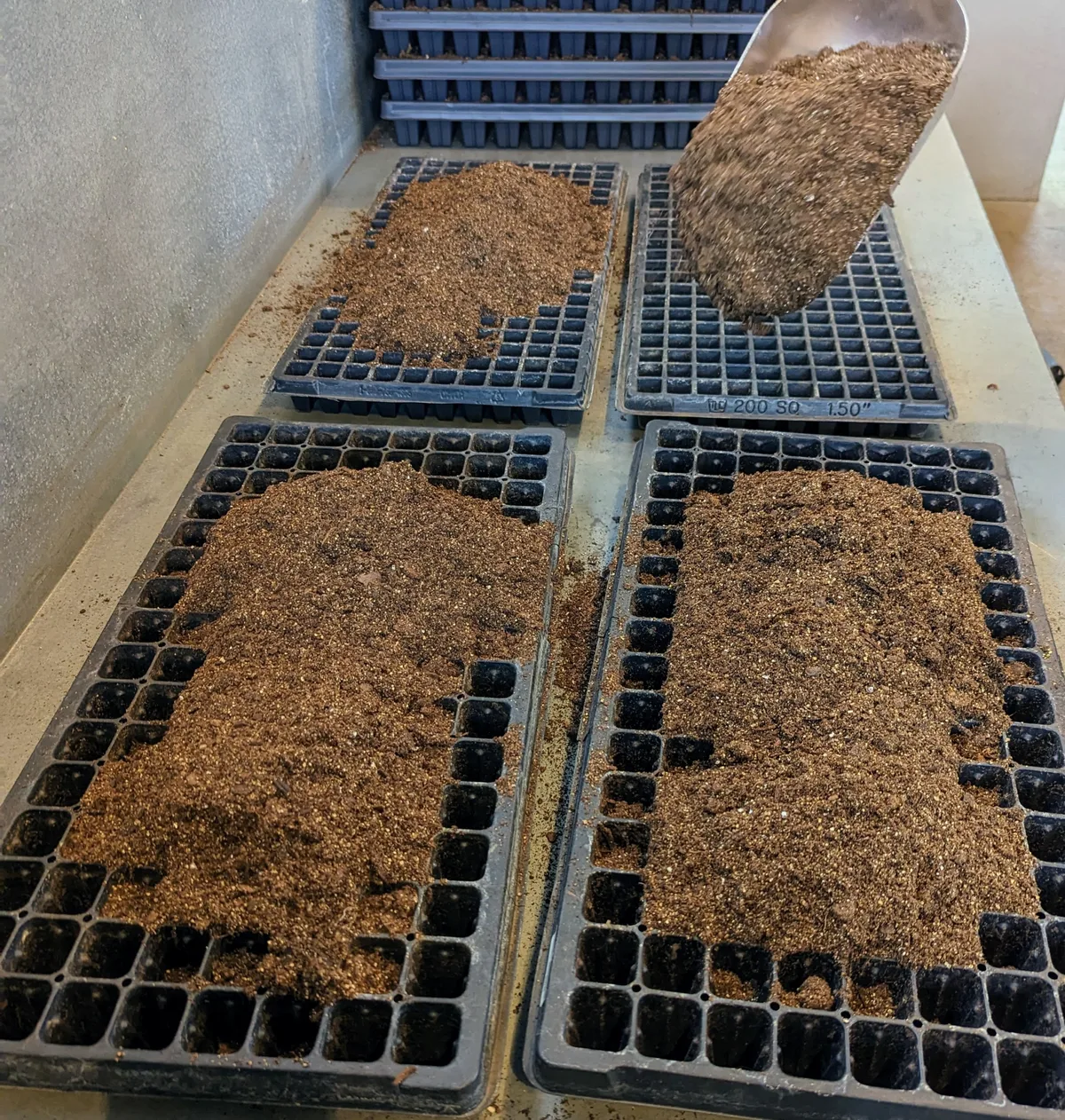seed starting mix