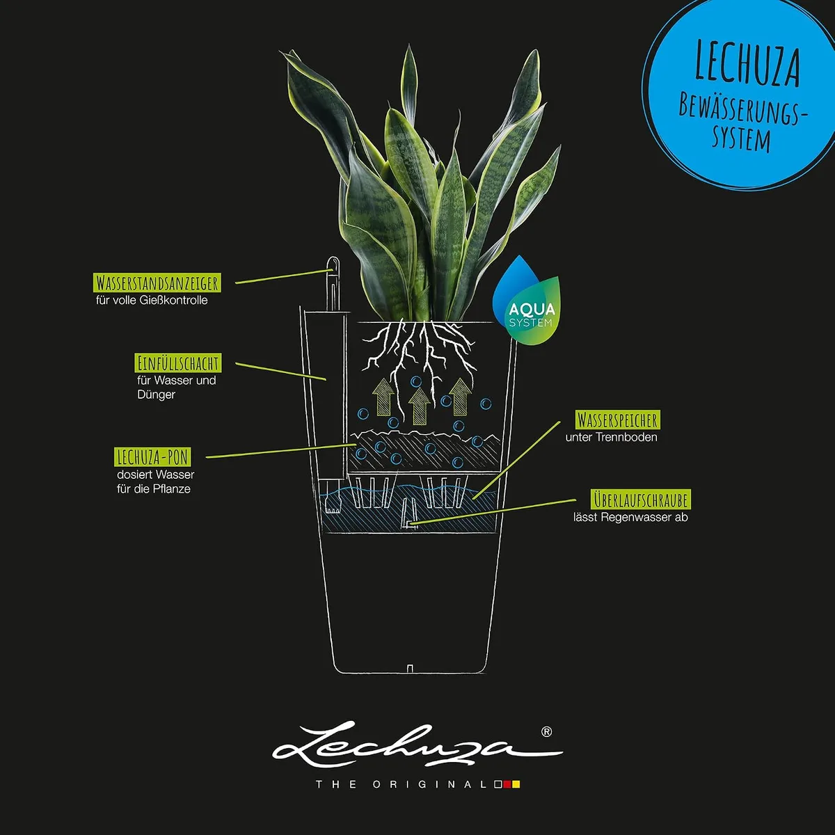 self-watering planter