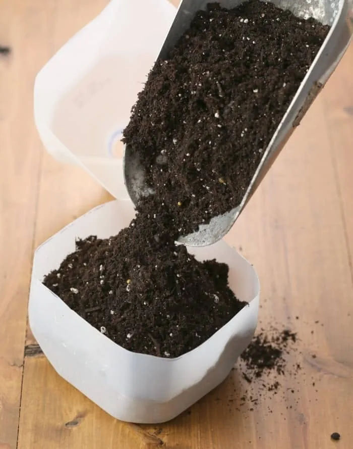 soil for winter sowing