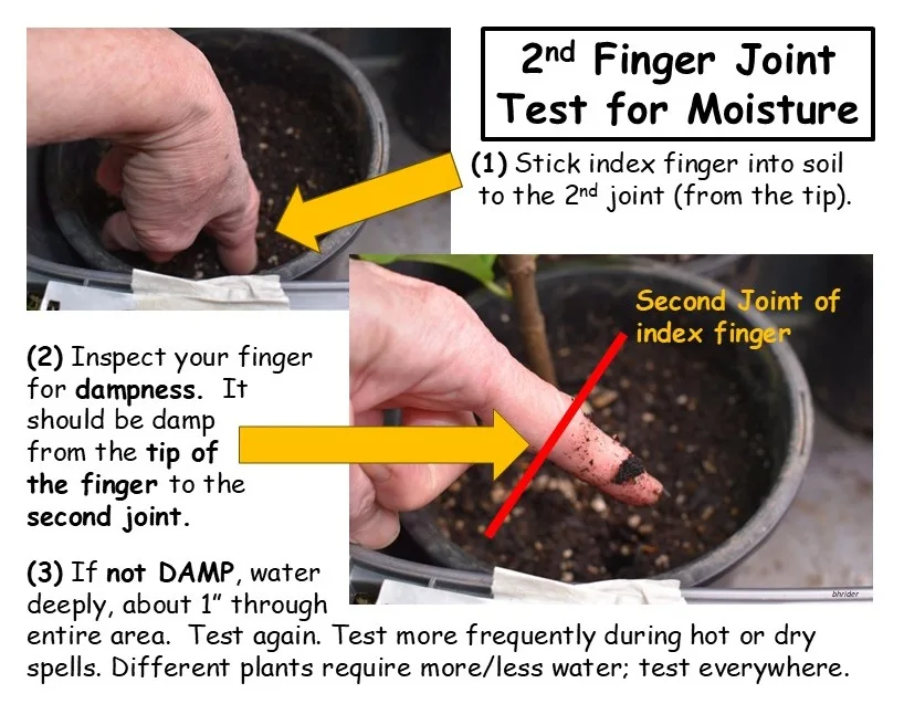 soil moisture finger test