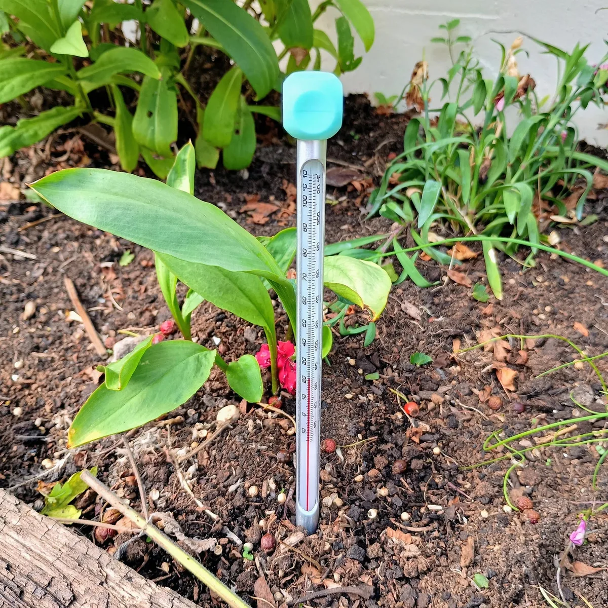 soil temperature measurement