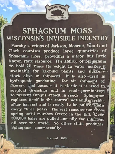 sphagnum moss mound on board
