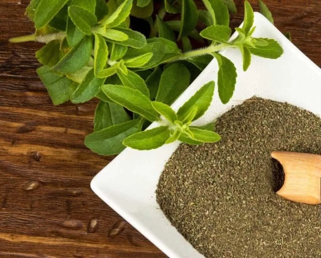 stevia rebaudiana leaves