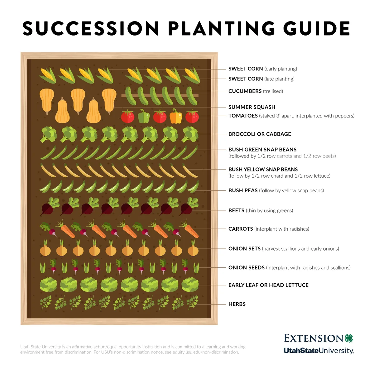 succession planting