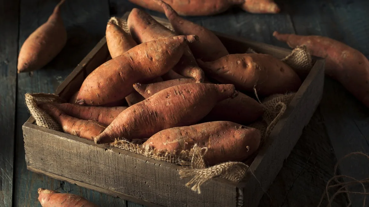 tuberous roots storage medium