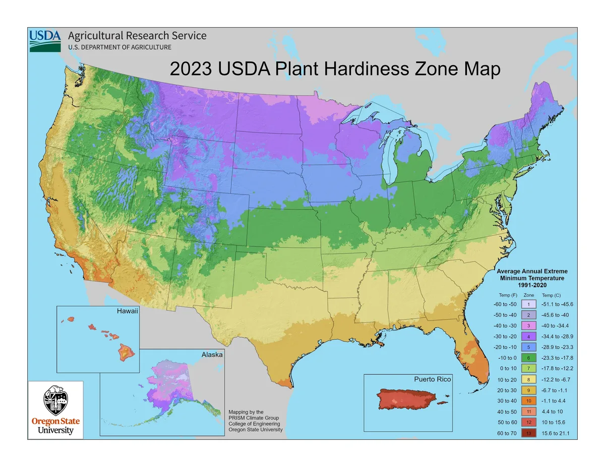 USDA hardiness zone