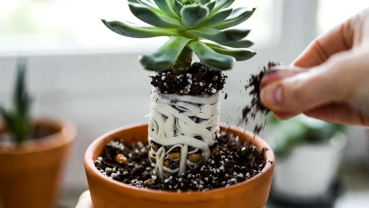 well-draining soil test