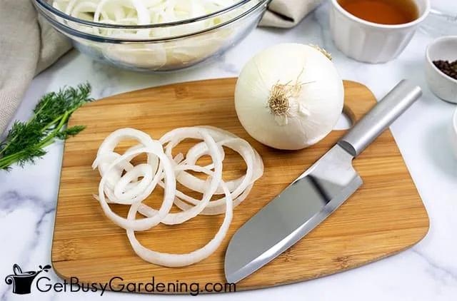 white onions and pickling ingredients