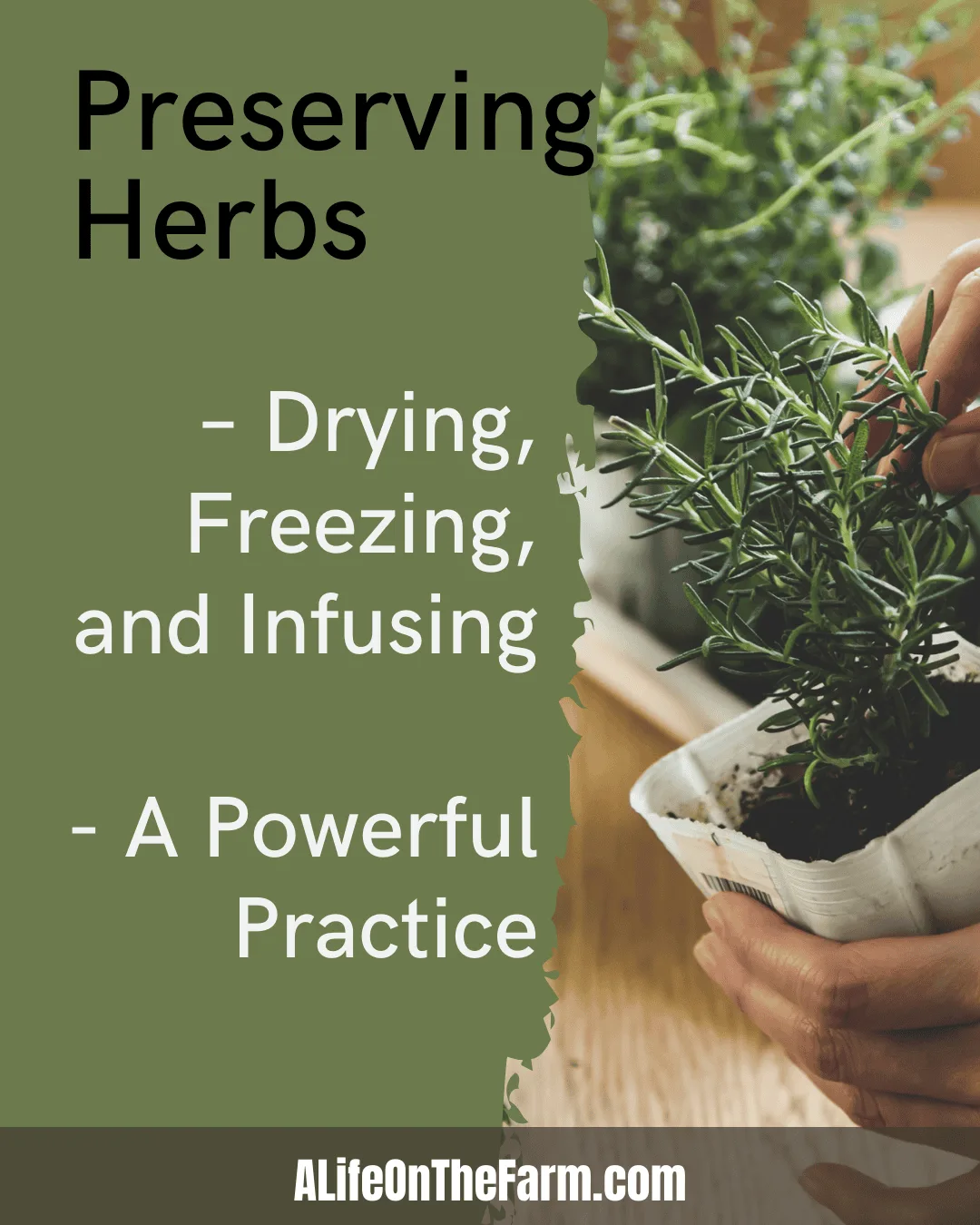 Why the Drying vs. Freezing Decision Actually Matters